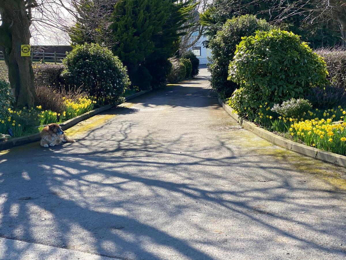 Rose Cottage Captivating 1-Bed Cottage in Bangor Esterno foto